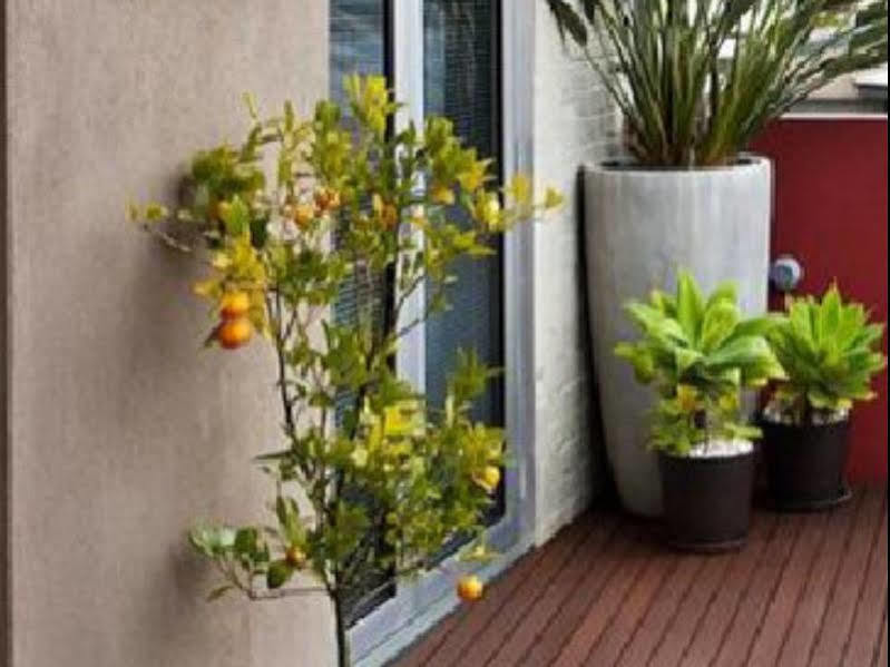 Twofourtwo Boutique Apartments Launceston Eksteriør bilde